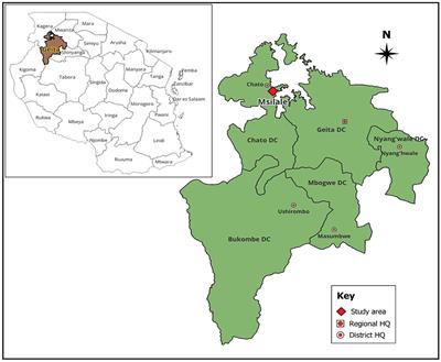 Effects of sowing dates and phosphorus levels on cotton growth and yield: soil analysis and implications